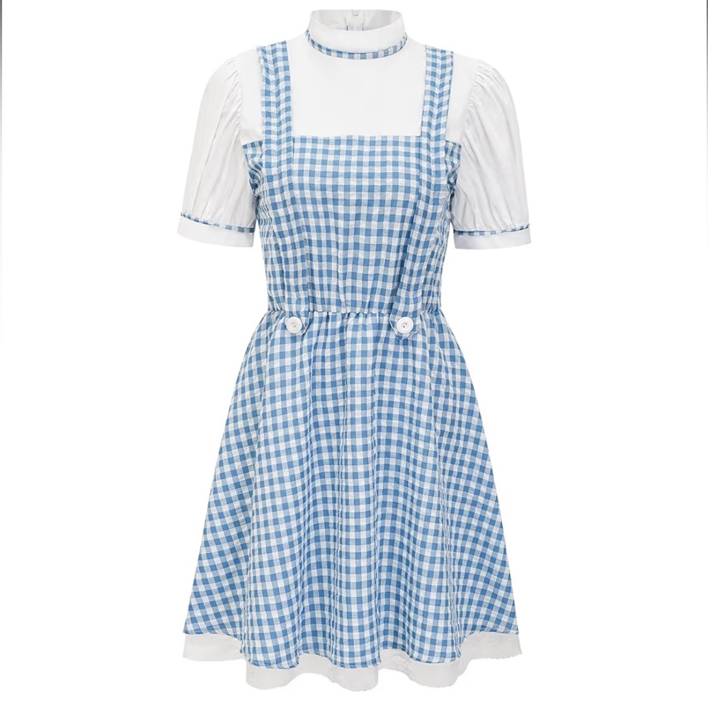 Wizard of Oz Dorothy Blue and White Checkered Women's Dress